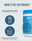 Vital Proteins-Vital Proteins Collagen Peptides Powder, Promotes Hair, Nail, Skin, Bone and Joint Health, Unflavored-BOM-Boutique on Main -Amazon, watertok
