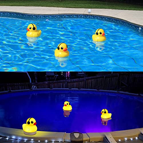Goallim-Solar Pool Ducks!-BOM-Boutique on Main -Amazon Pool