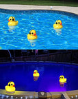 Goallim-Solar Pool Ducks!-BOM-Boutique on Main -Amazon Pool