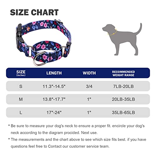 Hikiko-Martingale Dog Collar-BOM-Boutique on Main -Amazon Pups